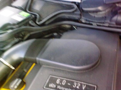 20100619_005.jpg
