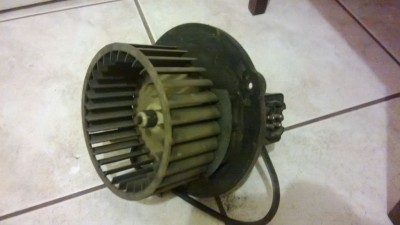 WP_20130522_003.jpg