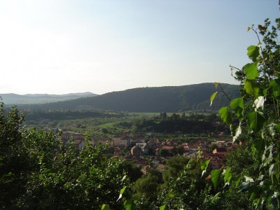 232_1024x768.JPG