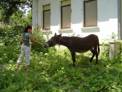 085_1024x768.JPG