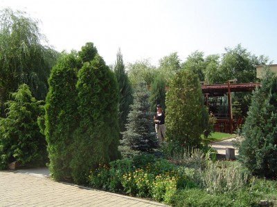004_1024x768.JPG