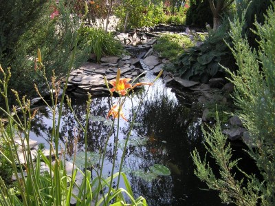 006_1024x766.JPG
