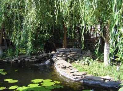 014_1024x766.JPG