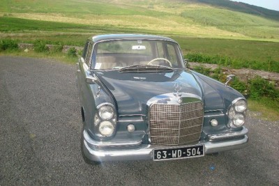 fintail1.jpg