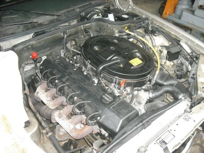DSCF8064 - Kopia.JPG