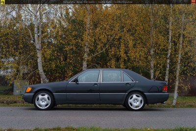 3676710_merc2.jpg