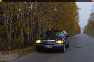 3676728_merc3.jpg