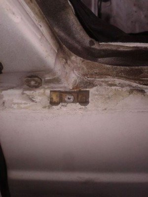 Zdjęcie-0329 (2).jpg