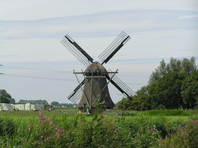 P8010064.JPG