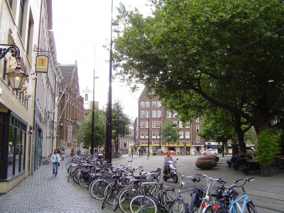 DSC00897.JPG