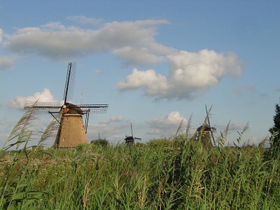 DSC00945.JPG