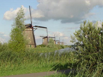 DSC00947.JPG