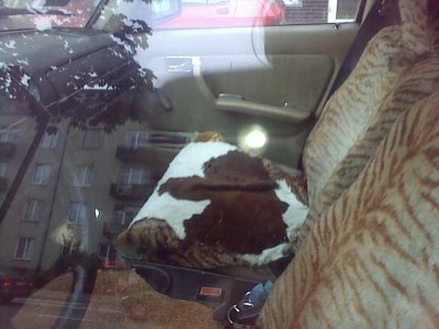 201009023158.jpg