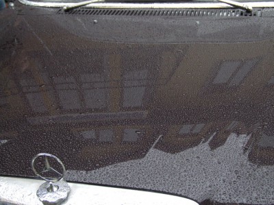 DSCF5219.JPG