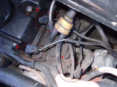 DSCF6574.JPG