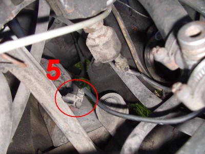 DSCF6579.JPG