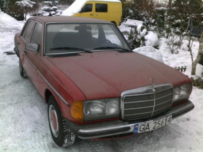29112010211.jpg
