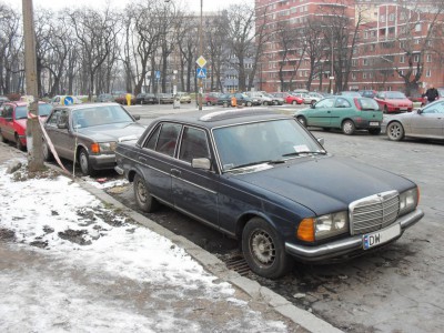 Sdc17564.jpg