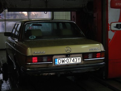 DSC03556.JPG