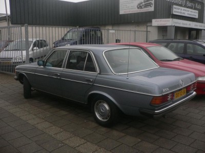 P1130663.JPG