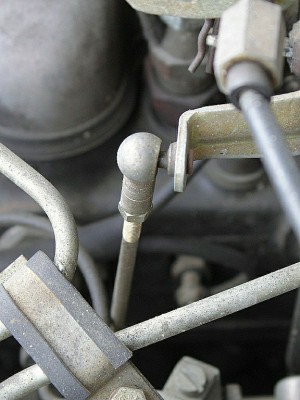 IMG_8925.jpg