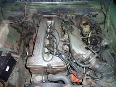 P1000789 [iPhone].JPG