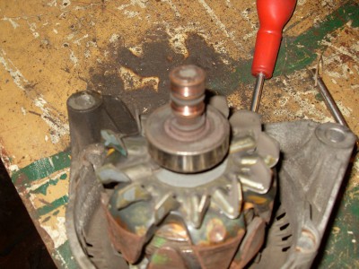 SDC12663.JPG