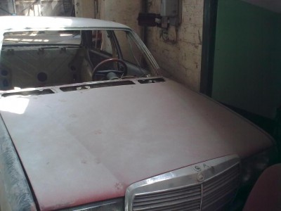 20100419_001.jpg