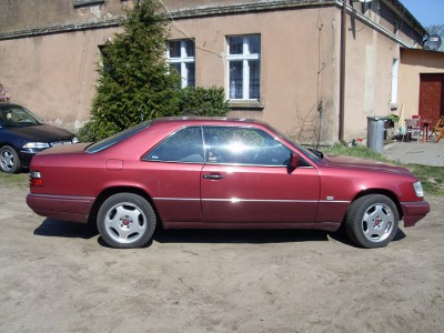 SDC12695.JPG