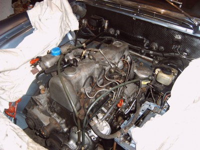 IMG00907.JPG