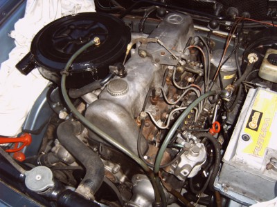 IMG00910.JPG