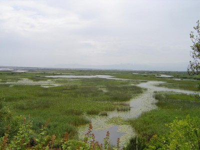 04.JPG