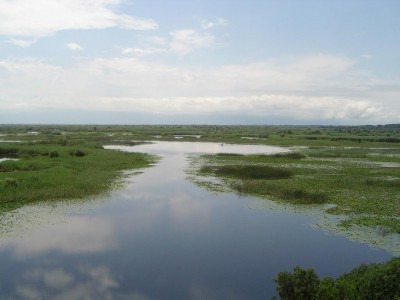 05.JPG