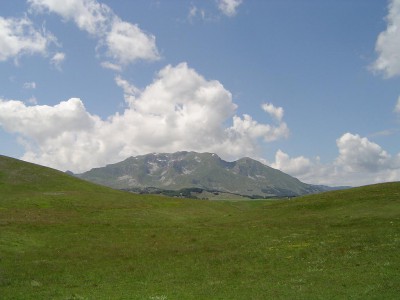 08.JPG