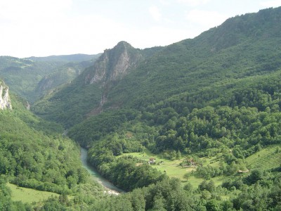 14.JPG