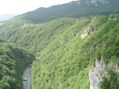 15.JPG