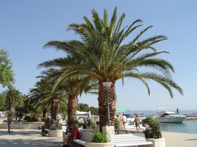 04.JPG
