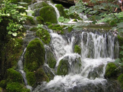 06.JPG