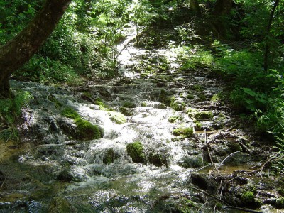 07.JPG