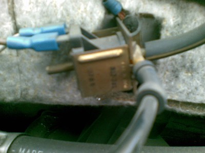 20100524(003).jpg