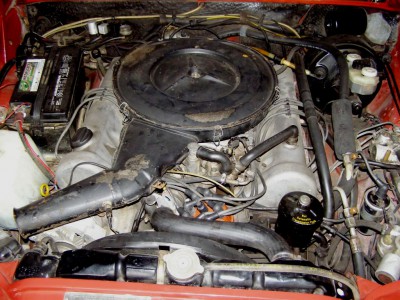 PA110135.JPG