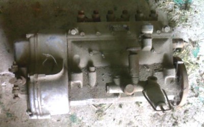 p56x.jpg