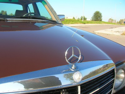 DSCN4619.JPG