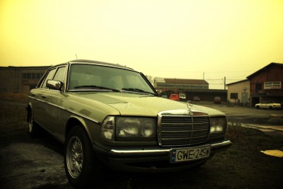 IMG_8087dd.jpg