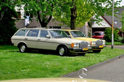 merolff77.jpg