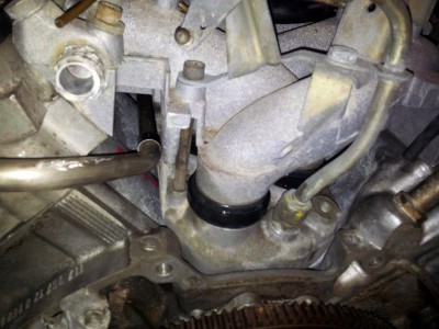 20111104_133210.jpg