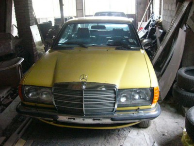free2006 012.jpg